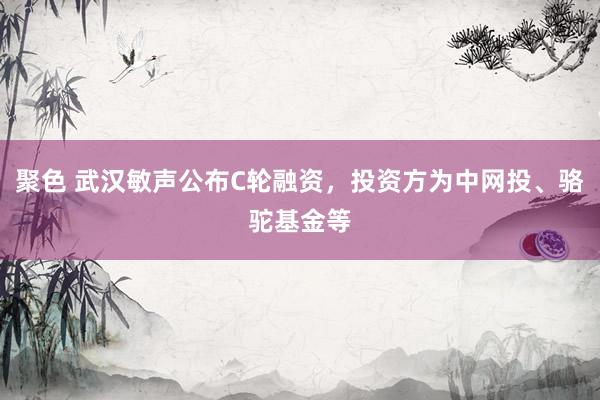 聚色 武汉敏声公布C轮融资，投资方为中网投、骆驼基金等