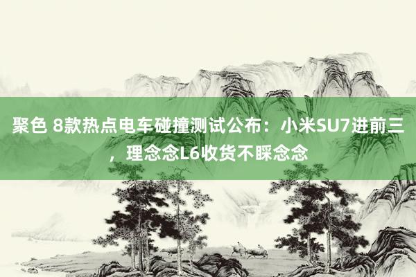 聚色 8款热点电车碰撞测试公布：小米SU7进前三，理念念L6收货不睬念念