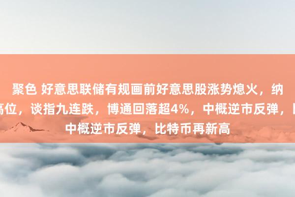 聚色 好意思联储有规画前好意思股涨势熄火，纳指告别记录高位，谈指九连跌，博通回落超4%，中概逆市反弹，比特币再新高