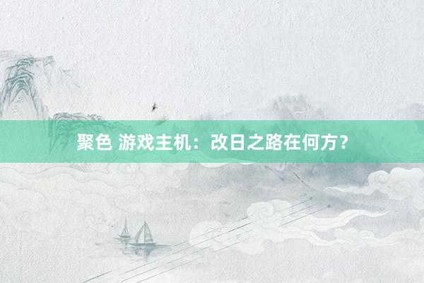 聚色 游戏主机：改日之路在何方？