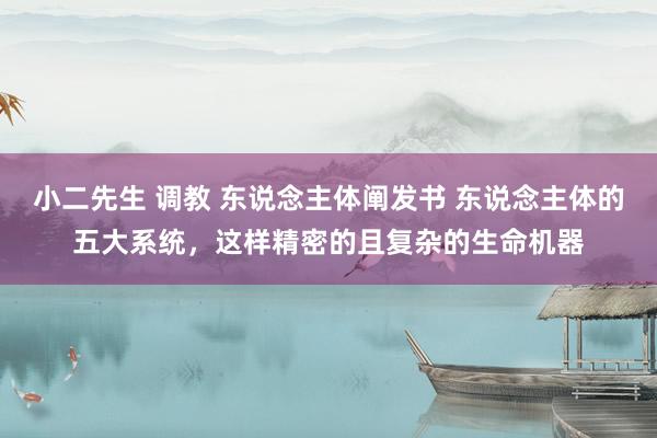 小二先生 调教 东说念主体阐发书 东说念主体的五大系统，这样精密的且复杂的生命机器