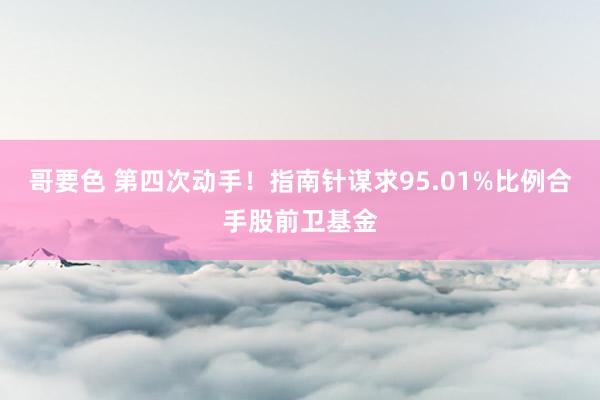 哥要色 第四次动手！指南针谋求95.01%比例合手股前卫基金