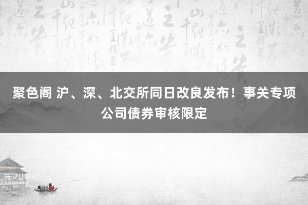 聚色阁 沪、深、北交所同日改良发布！事关专项公司债券审核限定