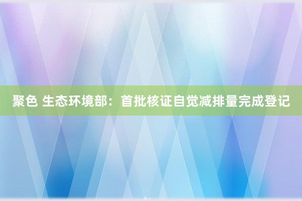 聚色 生态环境部：首批核证自觉减排量完成登记