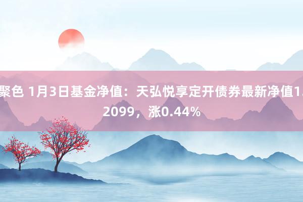 聚色 1月3日基金净值：天弘悦享定开债券最新净值1.2099，涨0.44%