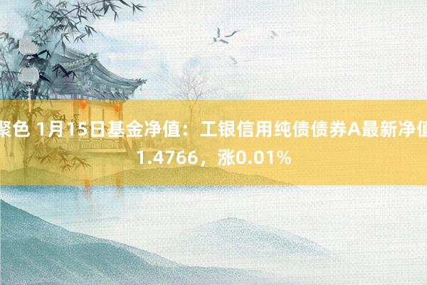 聚色 1月15日基金净值：工银信用纯债债券A最新净值1.4766，涨0.01%