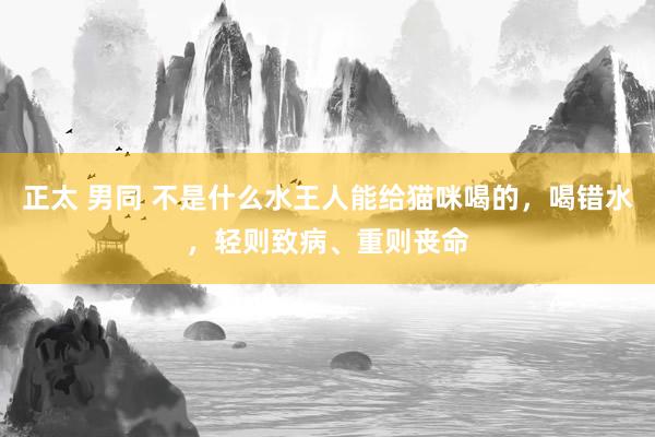 正太 男同 不是什么水王人能给猫咪喝的，喝错水，轻则致病、重则丧命