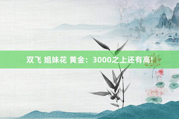 双飞 姐妹花 黄金：3000之上还有高!