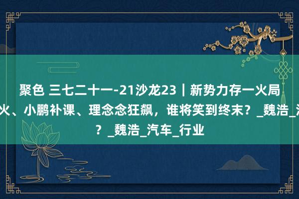 聚色 三七二十一-21沙龙23｜新势力存一火局：小米着火、小鹏补课、理念念狂飙，谁将笑到终末？_魏浩_汽车_行业