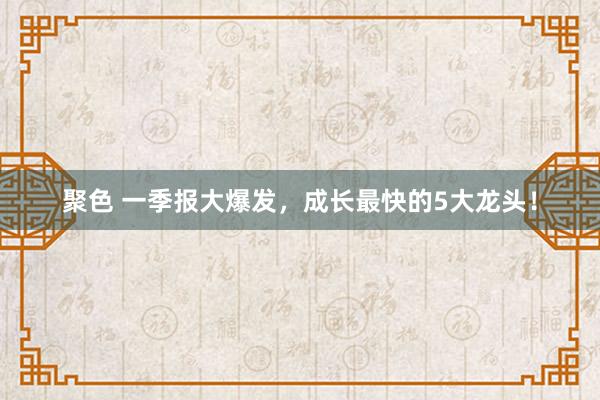 聚色 一季报大爆发，成长最快的5大龙头！