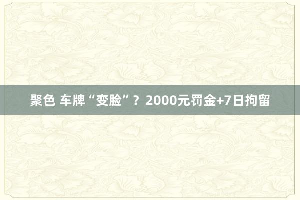 聚色 车牌“变脸”？2000元罚金+7日拘留