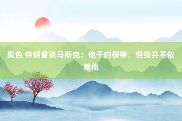 聚色 特朗普谈马斯克：他干的很棒，但我并不依赖他