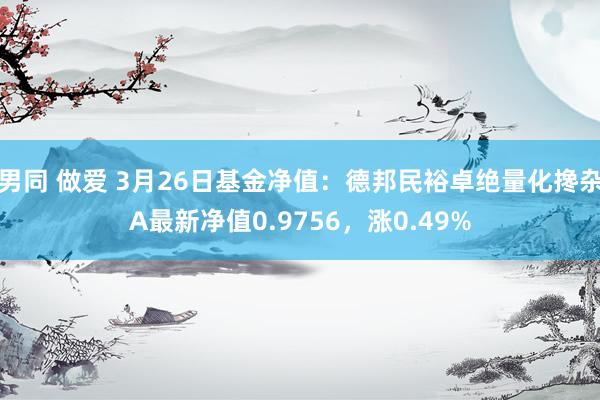 男同 做爱 3月26日基金净值：德邦民裕卓绝量化搀杂A最新净值0.9756，涨0.49%