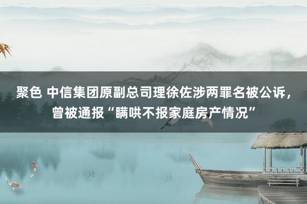 聚色 中信集团原副总司理徐佐涉两罪名被公诉，曾被通报“瞒哄不报家庭房产情况”