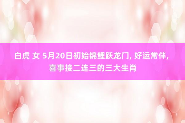 白虎 女 5月20日初始锦鲤跃龙门， 好运常伴， 喜事接二连三的三大生肖